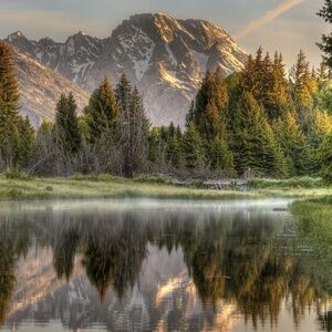 Meet your Posher, Angie